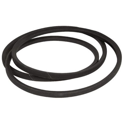 Correa AYP 532174883