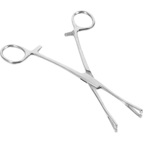 Smooth-Tipped and Secure Grip Tweezers for Reptiles and Snakes, Stainless Steel, Essential Accessories for Terrariums and Easy Feeding (1/5)