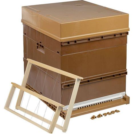 Ruche en plastique Nicot Dadant 10 cadres