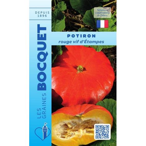 Potiron rouge vif d'Etampes - 7g