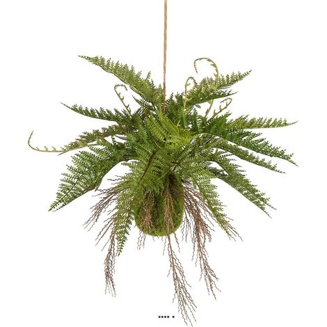 Fougère de Boston artificielle suspendue, L 35 cm, D 53 cm (1/2)