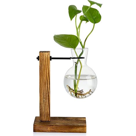 Klare Glasvase mit Holzständer für Pflanzen – Tisch- und Wohndekoration
