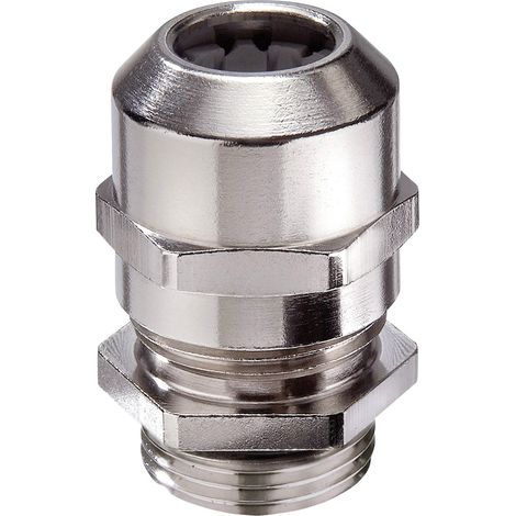 Wiska 10101941 Kabelverschraubung Erweiterung  M50 M63 Messing Messing 10 St.