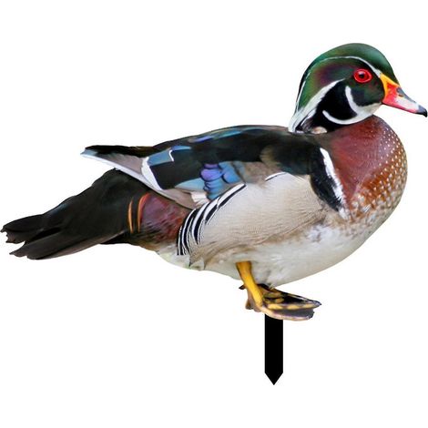 Realistische und dekorative Farfi-Ente, beidseitig bedruckt, rustikaler Stil, Acryl, für den Garten - H (1/5)