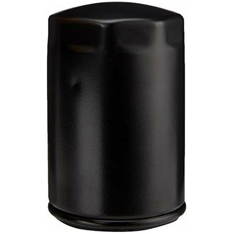 Filtro olio motore trattorino rasaerba LOMBARDINI 2.762.175.36 6LD 260 (1/3)