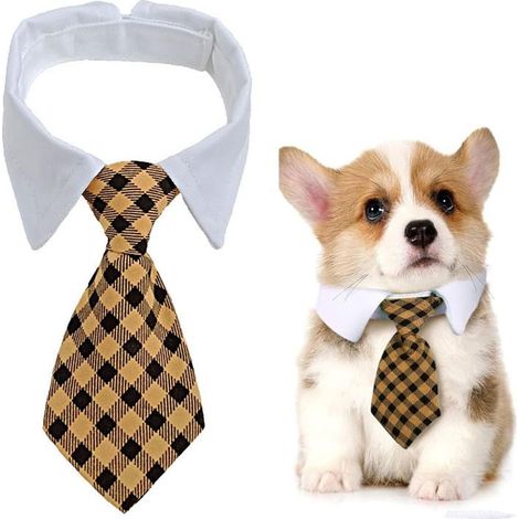 Cravate pour Chien, Collier de Chien réglable avec Fermeture bande autocollante, nœud Papillon de Mariage pour Animaux de Compagnie, nœud Papillon Formel pour Chiot, Collier de Smoking, Cravate de Cos (1/5)
