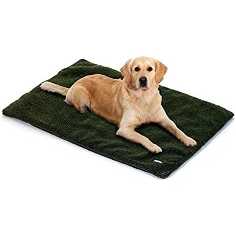 K PET CLASCHET FLEECY - coperta per cani 70 x 95 x 4 cm Verde (1/3)