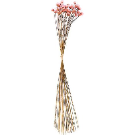 50 fleurs séchées