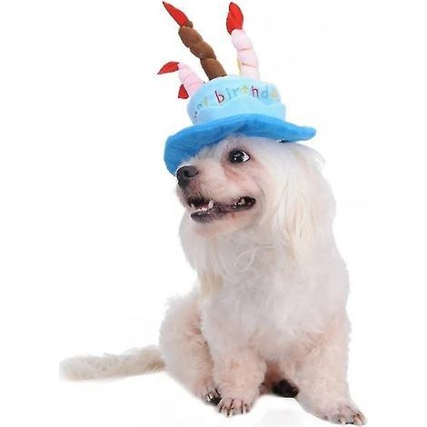Set mit 5 Hundegeburtstagshüten (1/3)
