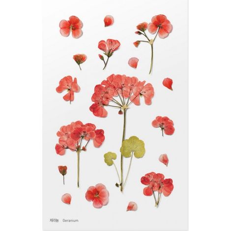 APPREE Adesivi decorativi a forma di fiore di geranio - scrapbooking, bullet journal