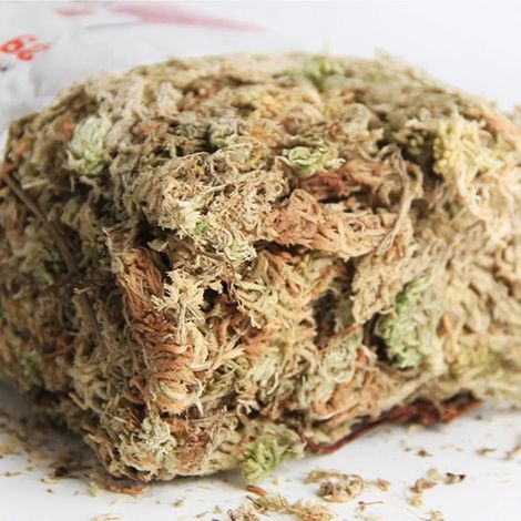 Musgo Para Plantas En Macetas Musgo Seco Sphagnum Mezcla (1/5)