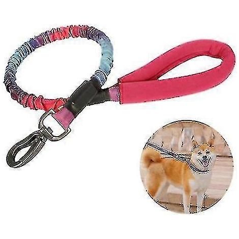 Collier élastique pour chien avec laisse en fourrure, collier pour chien avec laisse en fourrure, chiot (1/5)