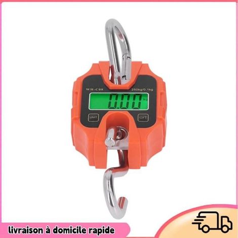 Mini Scale de grue numérique Balance De Grue Numérique Coque ABS Outil De Pesage Suspendu Industriel bricolage balances (1/4)