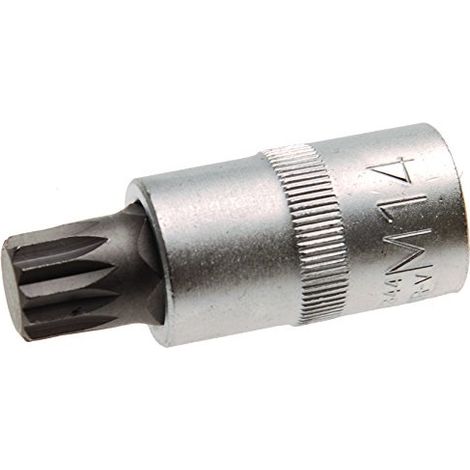 BGS Bit-Einsatz Antrieb Innenvierkant 12,5 mm (1/2") Innenvielzahn (für XZN) M14 - 4344