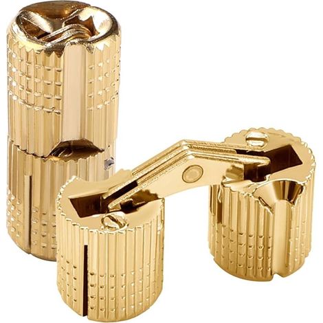 2 Pièces 10mm Charnière Invisible Laiton Tonneau, Charnière Laiton Caché Ouverture à 180° Angle, Charnières à Barillet Dissimulées, pour Boîtes à Cadeau Bijoux Bricolage (1/5)