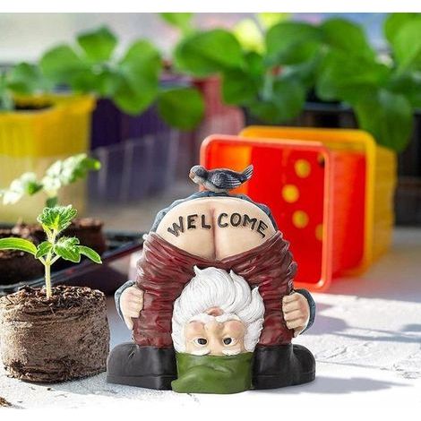 Statue de Nain de Jardin en Résine – Décoration Coquine étanche avec Gnome Cul Nu pour Extérieur et Intérieur