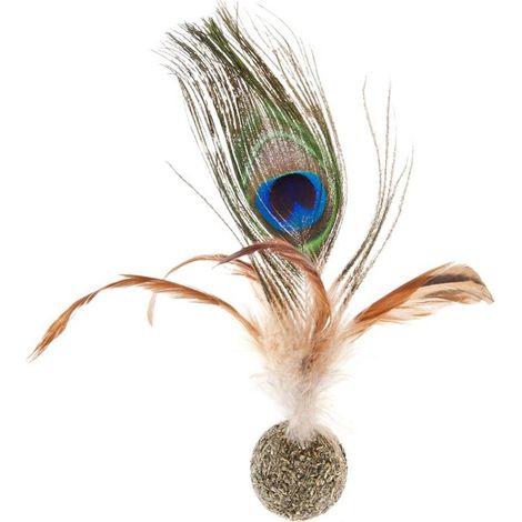 Jouet boule d'herbe à chat avec plumes de paon pour chats 6 pièces