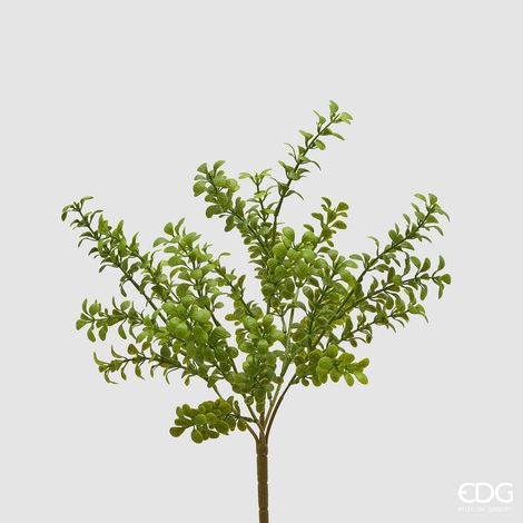 EDG Enzo De Gasperi Pianta Artificiale Bosso Cespuglio H 45 Cm Light Green – Pianta Decorativa Realistica Design Moderno