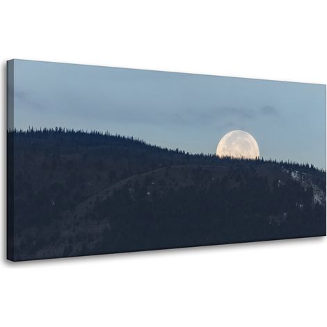 Leinwanddruck Natur Aufgehender Mond 80x40