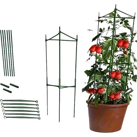 Tomatenstütze (1 Stück) — Pflanzenstützrahmen — Pflanzenstab bis 32 cm Höhe — Spezielle Stütze für Topfpflanzen — Pflanzensäule