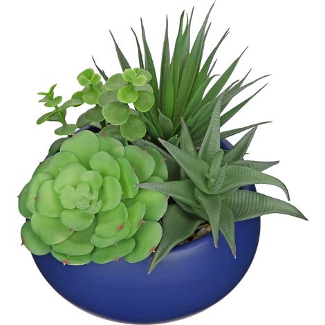 Plantes succulentes artificielles en pot de 17 cm - Mélange de plantes grasses artificielles en pot en céramique bleue - Plante artificielle réaliste en pots pour rebord de fenêtre, bureau, (1/5)