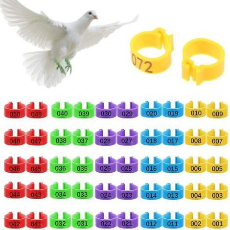 QORVA – 50 Stück Hühnerringe, Hühner-Identifikationsringe, Hühnerbeinringe, 16 mm, 5 Farben, Clip-on-Identifikationsringe, Nummer 1–50, für Hühner und Enten (1/5)