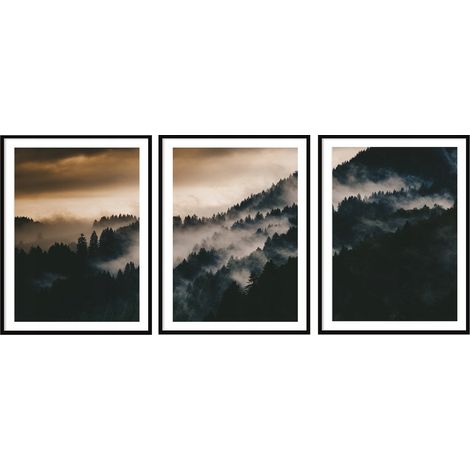 AFFICHE IMAGE ENCADRÉE 33x43cm Triptyque Ensemble de 3 tableaux Paysage forestier P2035
