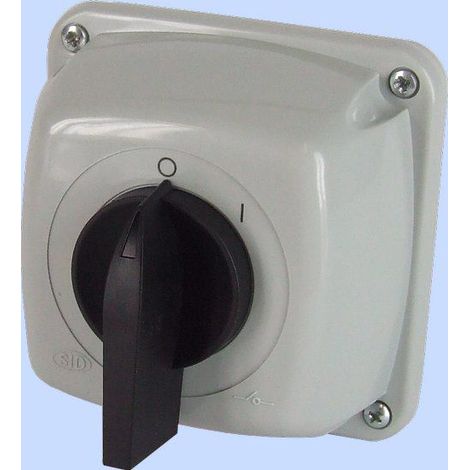 Interruttore a camme 0-1 1P 16A IP44 Arco 16-53 in custodia 921653 (1/2)
