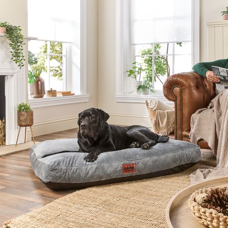 Paws for Slumber Padded Pet Bed, Grey, Extra Large
