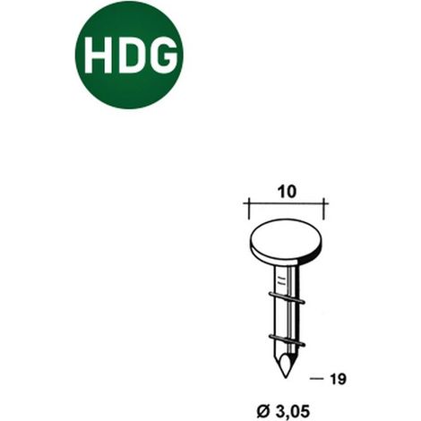 7 200 Pointes Roofing Annelées Galvanisées à Chaud 16° (Coil) - 3.05/10x19 mm - D-Work (1/5)