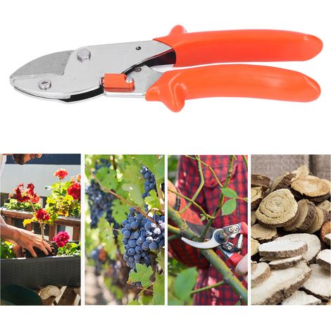 Sécateur à tête de poisson, sécateur à branches fruitières, sécateur de jardin en forme de tête de poisson, sécateur de jardin (1/5)