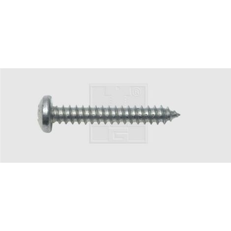 Blechschraube swg din 7981 3.9 mm Durchmesser 19 mm Länge (1/2)