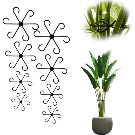 8 Tuteur Plante, Pinces de Soutien réutilisables pour Plantes, 4 Tailles de Support pour Plantes Grimpantes, adaptés à la décoration végétale d'intérieur (Noir)