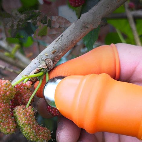 Ensemble de manchons de cueillette pour le pouce et les doigts, outil de cueillette pour plantes, jardinage, cueille-fruits et légumes (1/5)