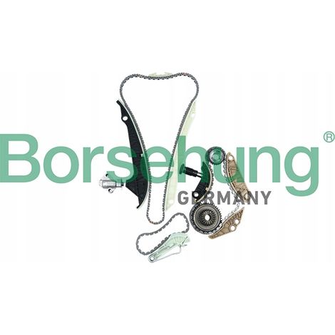 Kit de cadena de distribución Borsehung 1.8TFSI KPL con kit de eje de equilibrado (con ruedas) (1/5)