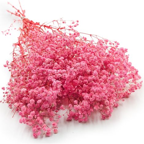 Stabilisiertes Schleierkraut (Gypsophila) – Royal Bouquet – Rosa