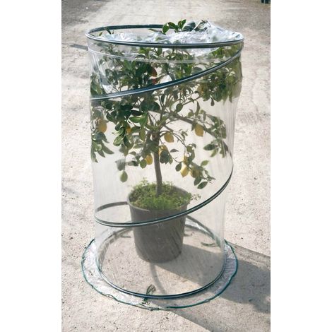 Serra da Giardino con Sistema Pop-Up Ø90cm Rama Citrus Verde (1/3)