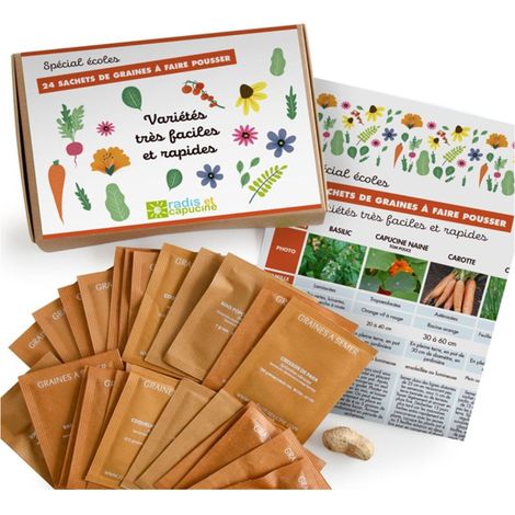 Potager d'une classe - 24 graines de légumes, aromates et fleurs