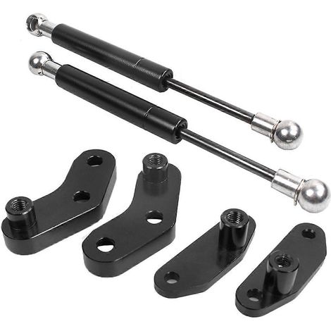 Hydraulischer Gasfedersatz für Kofferraumdämpfer (siehe Abbildung) (1/5)