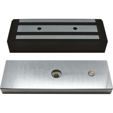 Ventouse EM enc. 61 mm 1200 lbs 12/24V DC - NF S 61-937 (1/3)