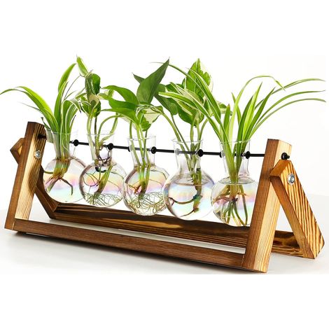 Set of 5 Creative Wooden Frame Hydroponic Glass Vase Container Set Living Room Office Desk Modern Ornaments Decoration - COOCHEER (1/5)