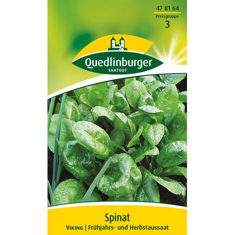 Quedlinburger Spinat Viking - Gemüsesamen (1/2)