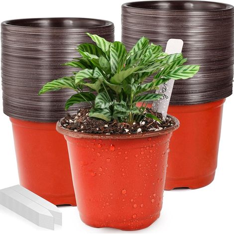 100 pots de semis, accompagnés de 100 étiquettes pour plantes, petits pots de semis en plastique et pots de germination (1/5)