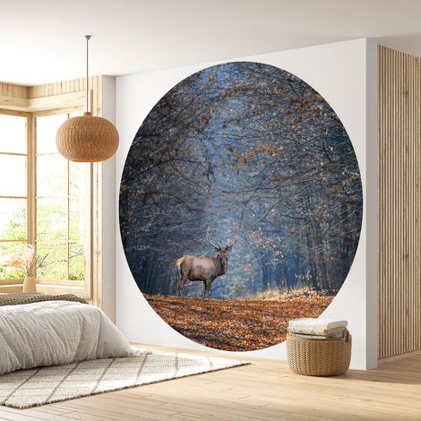 Papier peint rond / cercle - Forêt Cerf - Diamètre 50 cm (1/4)