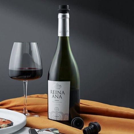 6 pièces-bouchons pour pompe vide-gris,Bouchon vin rouge, bouchon sous vide vin rouge, bouchon bouteille sous vide vin, b (1/4)