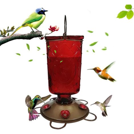 Distributeur de Nourriture pour Oiseaux à Main, Mangeoire pour Colibris de Jardin Extérieur (1/5)