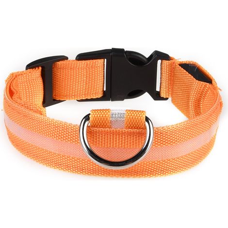 Collier LED rechargeable par USB pour chien de compagnie, clignotant, lumineux, sécurité, lumière en nylon (1/4)