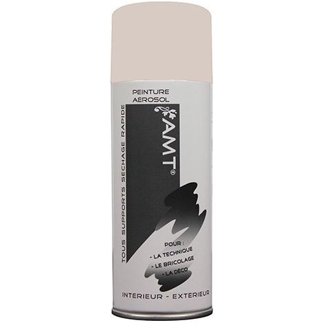 AMT Aérosol Couleur Gris clair Mat (BPA008) 0,330 L