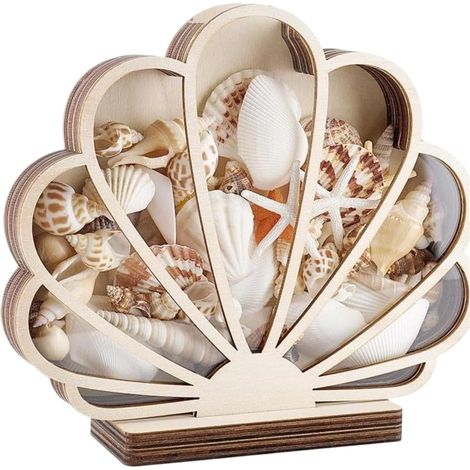 Küstenmuschel-Display, Holz-Schattenkoffer, kompakte Größe für Erinnerungsaufbewahrung, Acryl-Fensteranzeige, nautische Heimdekoration, Wohnzimmer, Schlafzimmer, Büro, Erinnerungssammlung (1/5)