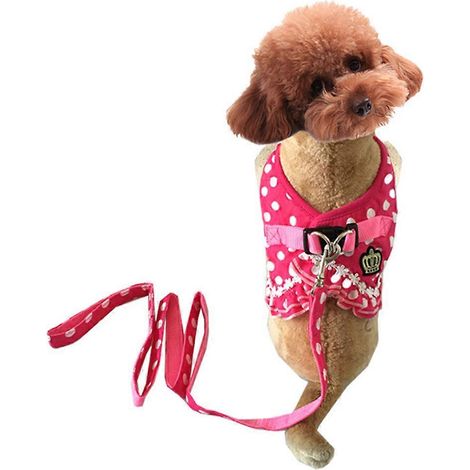 Sangle de poitrine respirante et confortable pour animaux de compagnie (chat et chien), à pois blancs, taille XL (1/5)
